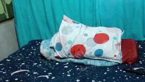 sofi online show from December 14, 9:56 pm