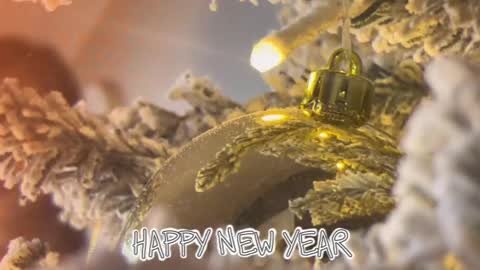 Sophie online show from January 18, 12:23 pm