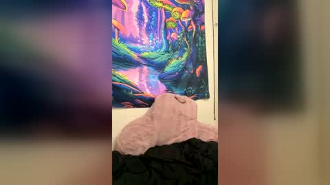 stephielynnnnn online show from July 17, 3:11 am