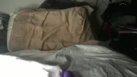 Sunny Clementine online show from February 6, 6:06 am