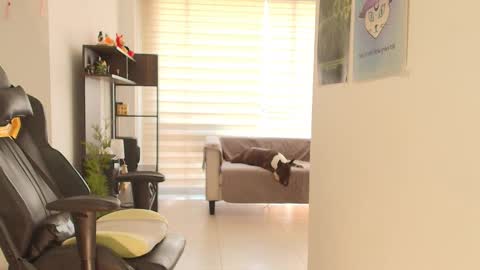 Susan Rhodes online show from November 2, 3:04 pm