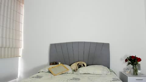 sweet_brunette88 online show from April 5, 2:27 pm