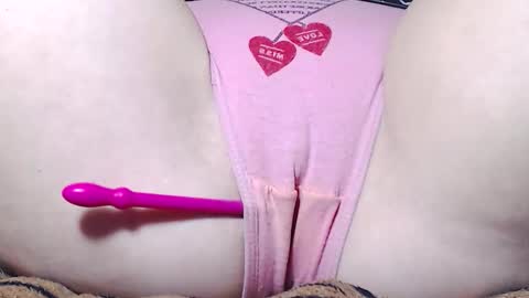 Kitten online show from November 21, 8:05 am