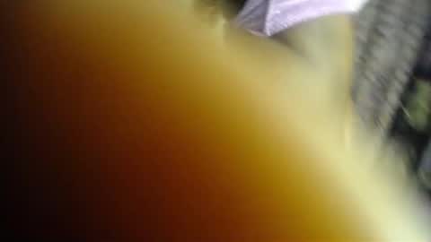 Kush online show from June 22, 5:15 am