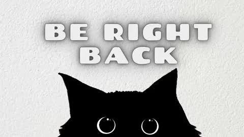 Rousaly online show from March 8, 11:14 am