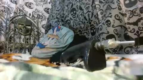 Katty badbitch online show from October 24, 9:55 pm