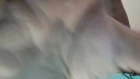 TheeTashelly online show from November 18, 11:33 am