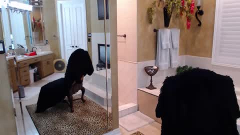 Trophy Wifey  iframe src height528 width850 s online show from June 6, 7:03 am