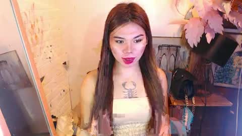 tsnovy online show from February 4, 10:43 am