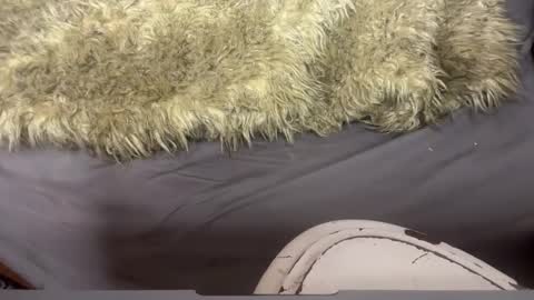 turntpixie online show from March 7, 4:41 am