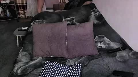 Lana online show from December 23, 2:59 am