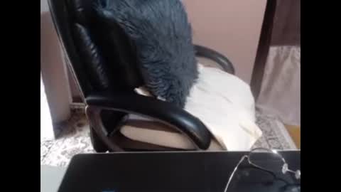 unlimitedloving online show from May 15, 2:05 am
