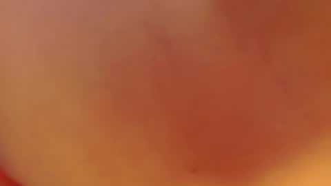 Valerya Collem online show from March 31, 4:01 am