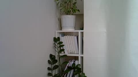 vea_motty online show from April 23, 12:29 pm