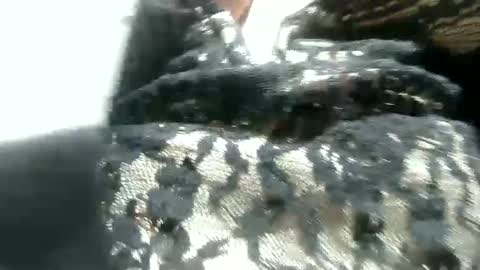 VENUS online show from December 26, 2:27 pm