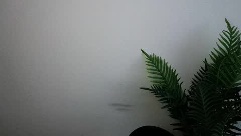 Ana online show from September 30, 12:11 pm