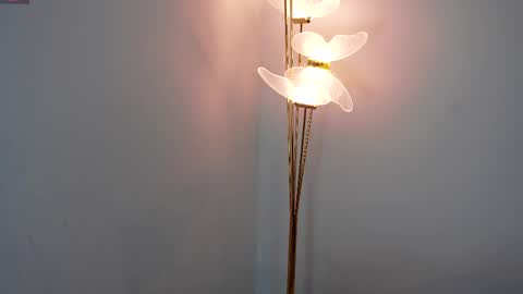 Sophie and Stan  online show from April 9, 6:19 am