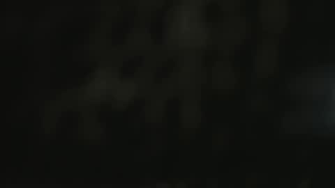 wild_firee_ online show from December 19, 8:23 pm