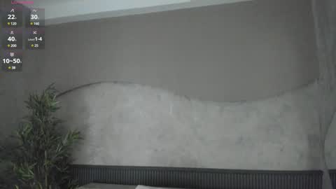 Ms Willow online show from January 28, 11:17 am