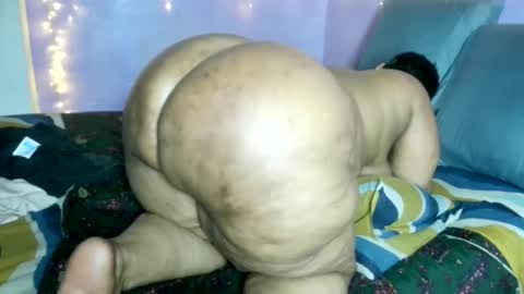 wilmaassylum online show from January 18, 11:39 am