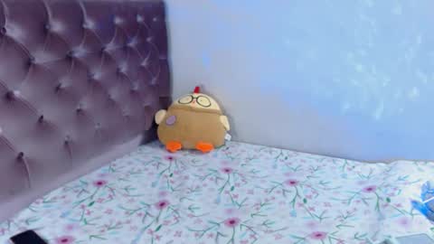 Xia online show from January 23, 12:04 am