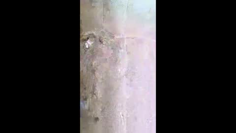 xxjessiebugxx online show from May 13, 3:12 am