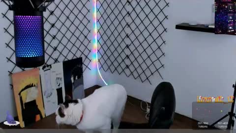 you can call me Andy or  yoshi  3 online show from October 7, 9:52 pm