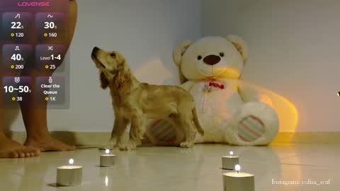 Yuli Independent model online show from February 19, 4:23 am