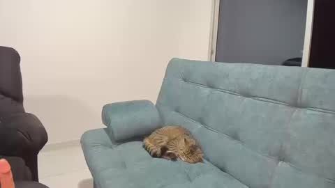 zafiralov online show from October 15, 1:52 am