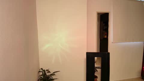 Zhara online show from November 13, 11:09 am