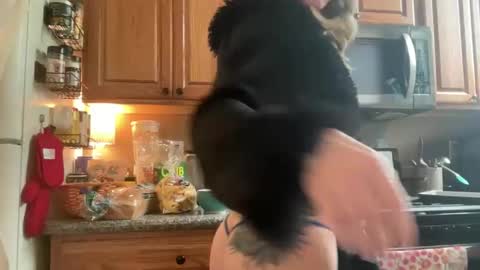 Zoeydanner online show from February 17, 8:41 pm