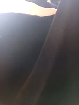 Swirly blac online show from March 7, 11:17 am