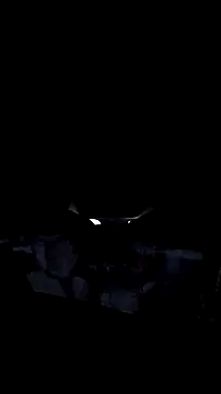 AriellaTaylor online show from December 14, 12:33 pm