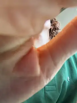 RinaMood online show from February 27, 5:40 am