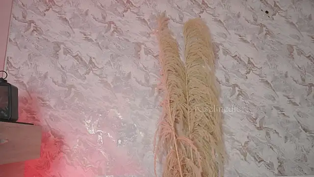 roselinedior online show from September 14, 6:28 pm