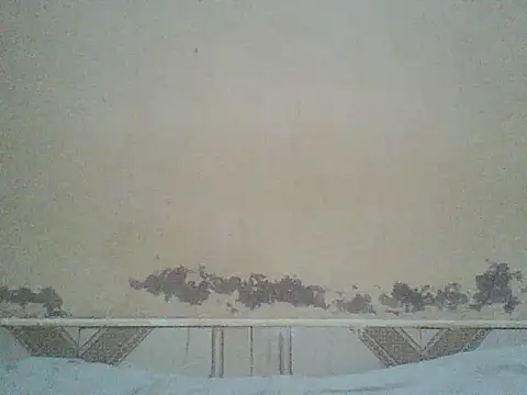 Naivegirrl online show from July 3, 10:43 am