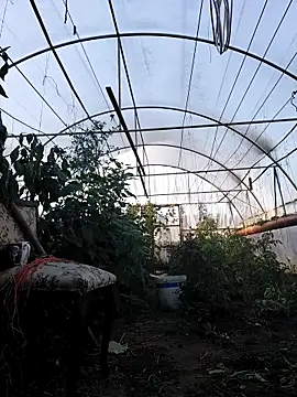 EmmaSquirt online show from October 28, 1:17 pm