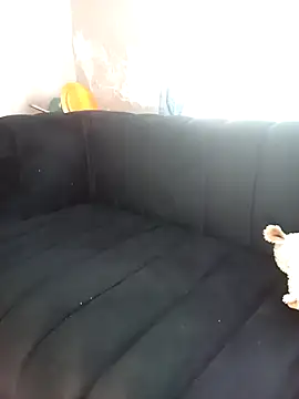 mloghyfsa online show from April 15, 11:11 am