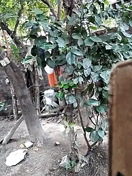 Miss Ayesha online show from November 16, 10:26 am