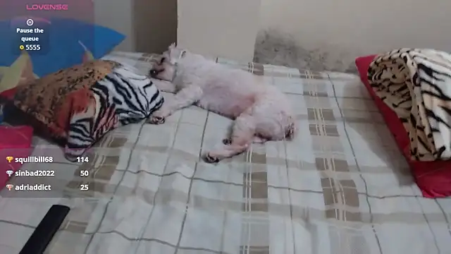 Giorgia xue53 online show from October 25, 4:31 am