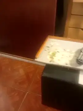 LiimonadaX online show from April 3, 11:36 pm