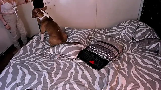 valerie luxe  online show from January 15, 4:40 am