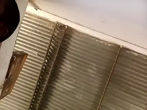 Andreita 95 online show from October 13, 3:36 pm