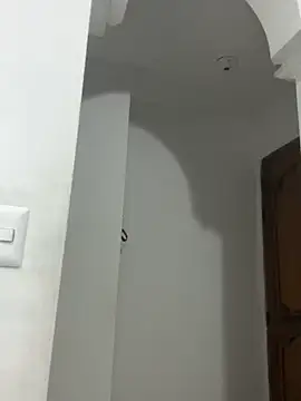 star anastasia online show from March 26, 10:50 am