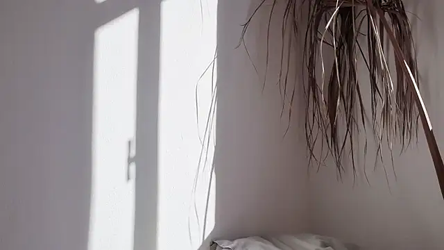 my lina online show from October 17, 6:27 am