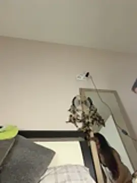 SOFIASWEETSECRETT online show from March 28, 4:28 pm