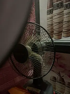 trieungoclnt online show from June 29, 4:41 am