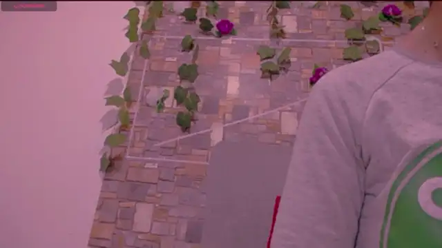 CrazyRousex online show from January 14, 2:22 pm