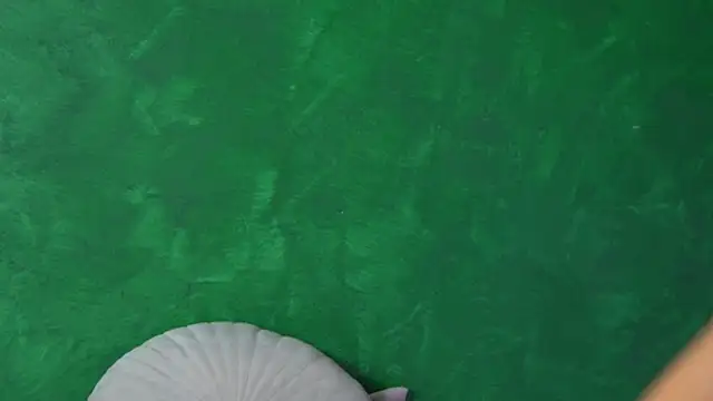 FoxieJullia online show from February 22, 8:59 am