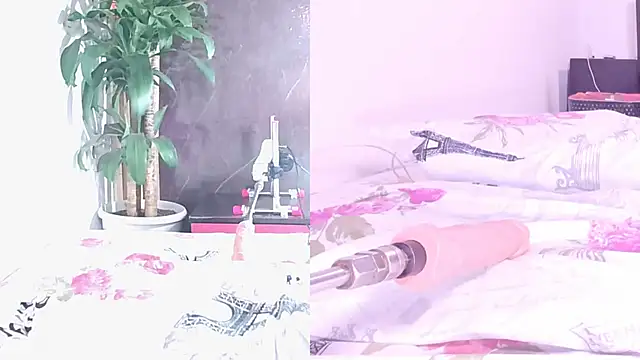 Sophia Lovers01 online show from April 13, 9:37 pm